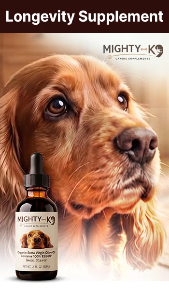 Mighty K9 longevity supplement bottle for dogs with a spaniel in the background